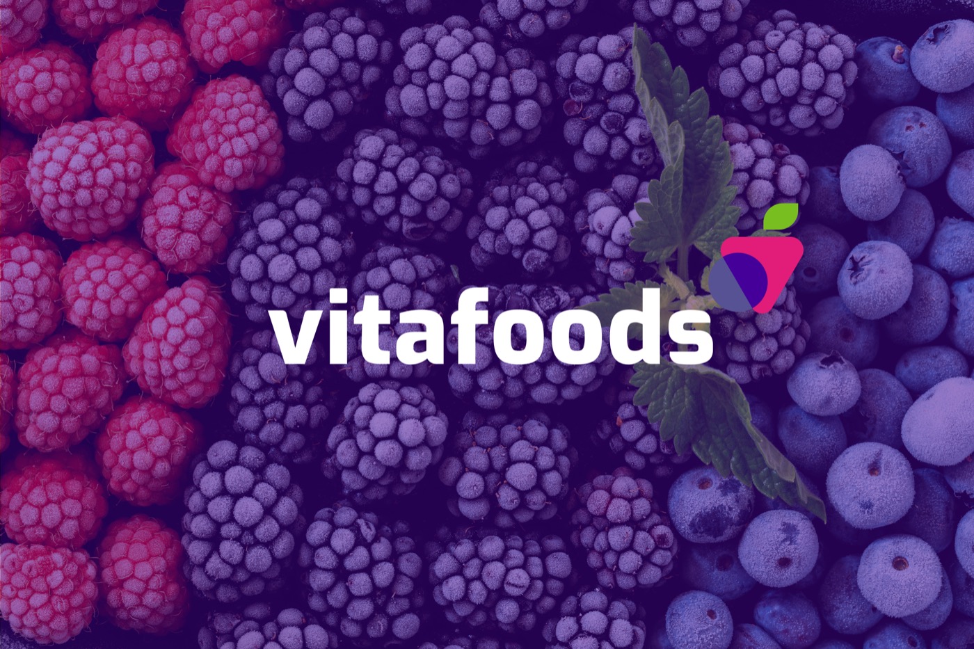 Vitafoods 6